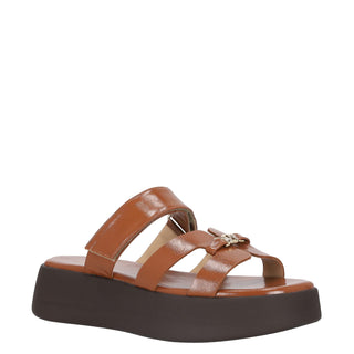 Zapatilla con Plataforma WESTIES Wesirio  Sintetico Color Cafe