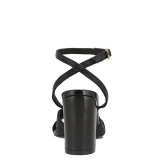 225206004631